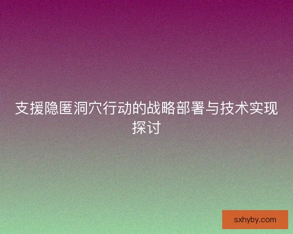 支援隐匿洞穴行动的战略部署与技术实现探讨