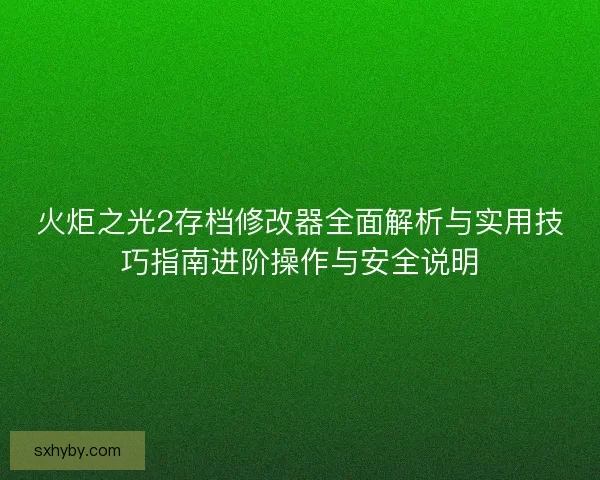 火炬之光2存档修改器全面解析与实用技巧指南进阶操作与安全说明